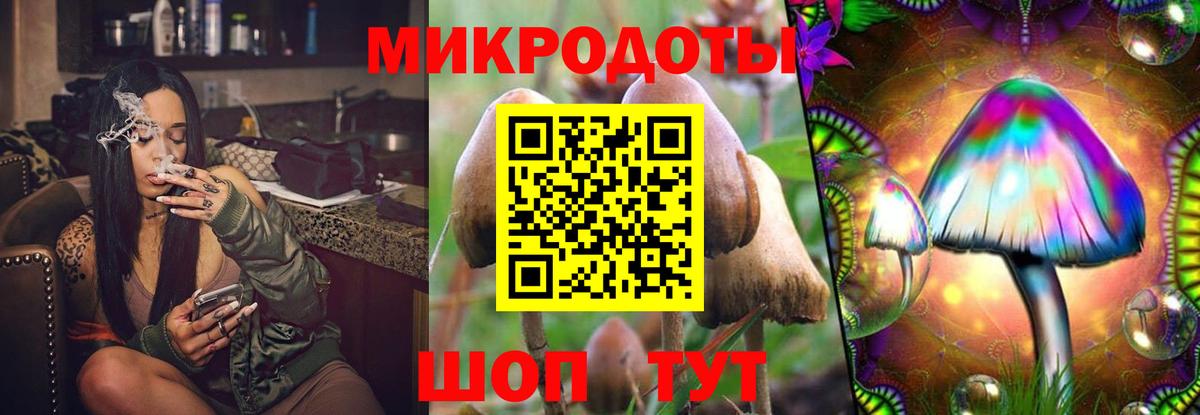 Псилоцибиновые грибы Psilocybine cubensis  Вход с VPN  Хасавюрт 